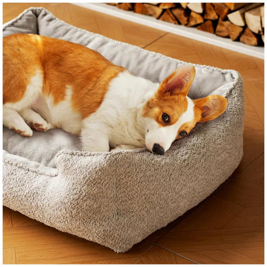 A corgi in a dog bed with its head resting on the side