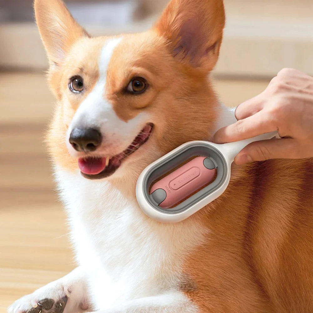 A dog being brushed by its owner