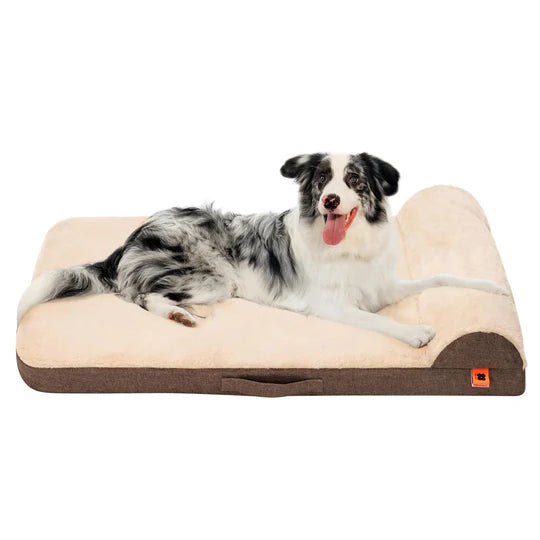 A dog lounging on an orthopedic waterproof bed