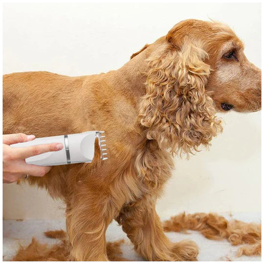 A dog stands while its owner clips its fur