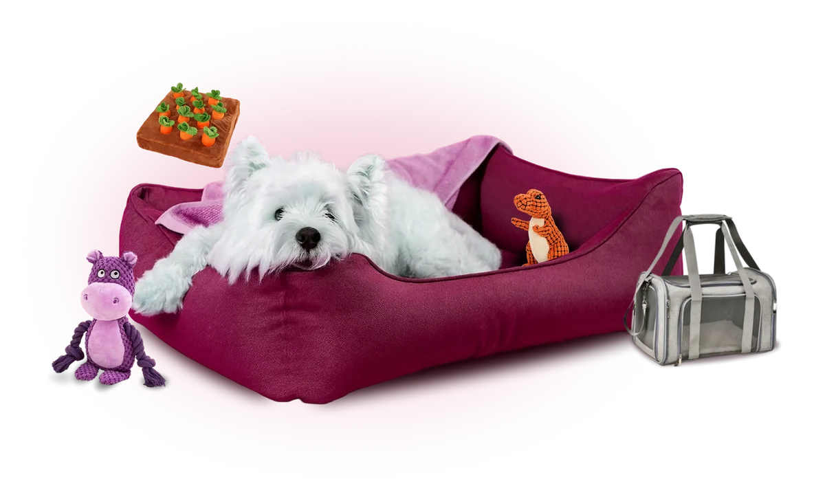 pawthenticpet_com-hero-banner